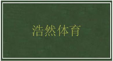 武術(shù)地毯